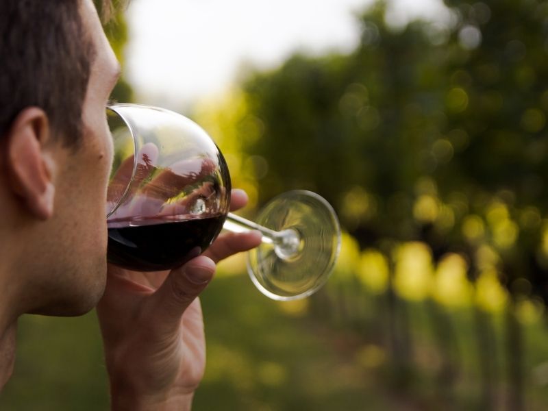 dégustation de Chinon