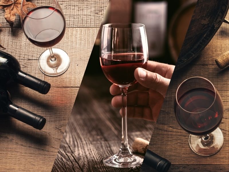 accessoires de dégustation de vin