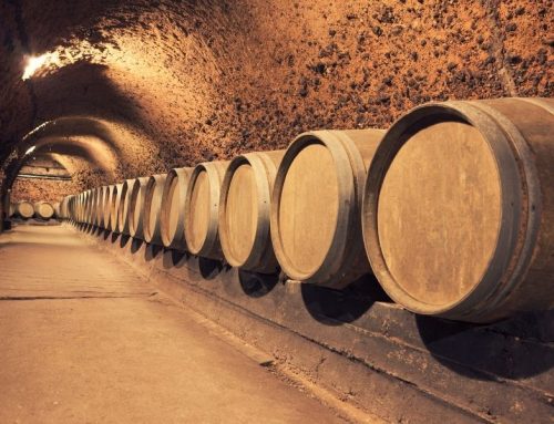 Chinon rouge, blanc et rosé : découvrez l’AOC de Chinon