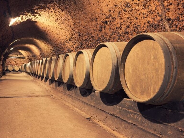 Chinon rouge, blanc et rosé : découvrez l’AOC de Chinon